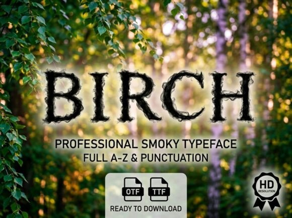 Birch: A Standout Display Font for Handmade Creators
