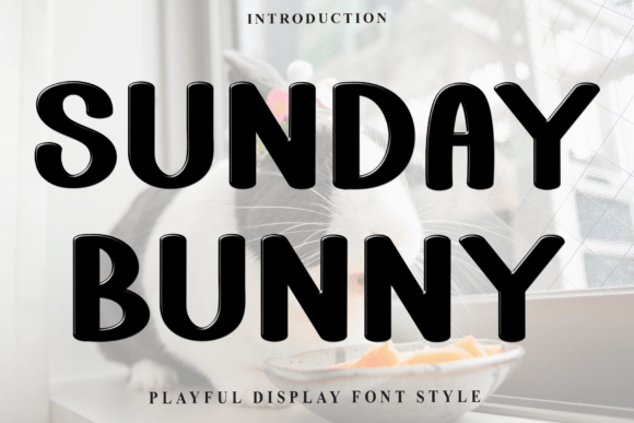 Sunday Bunny: A Display Font That Brings Warmth to Digital Branding